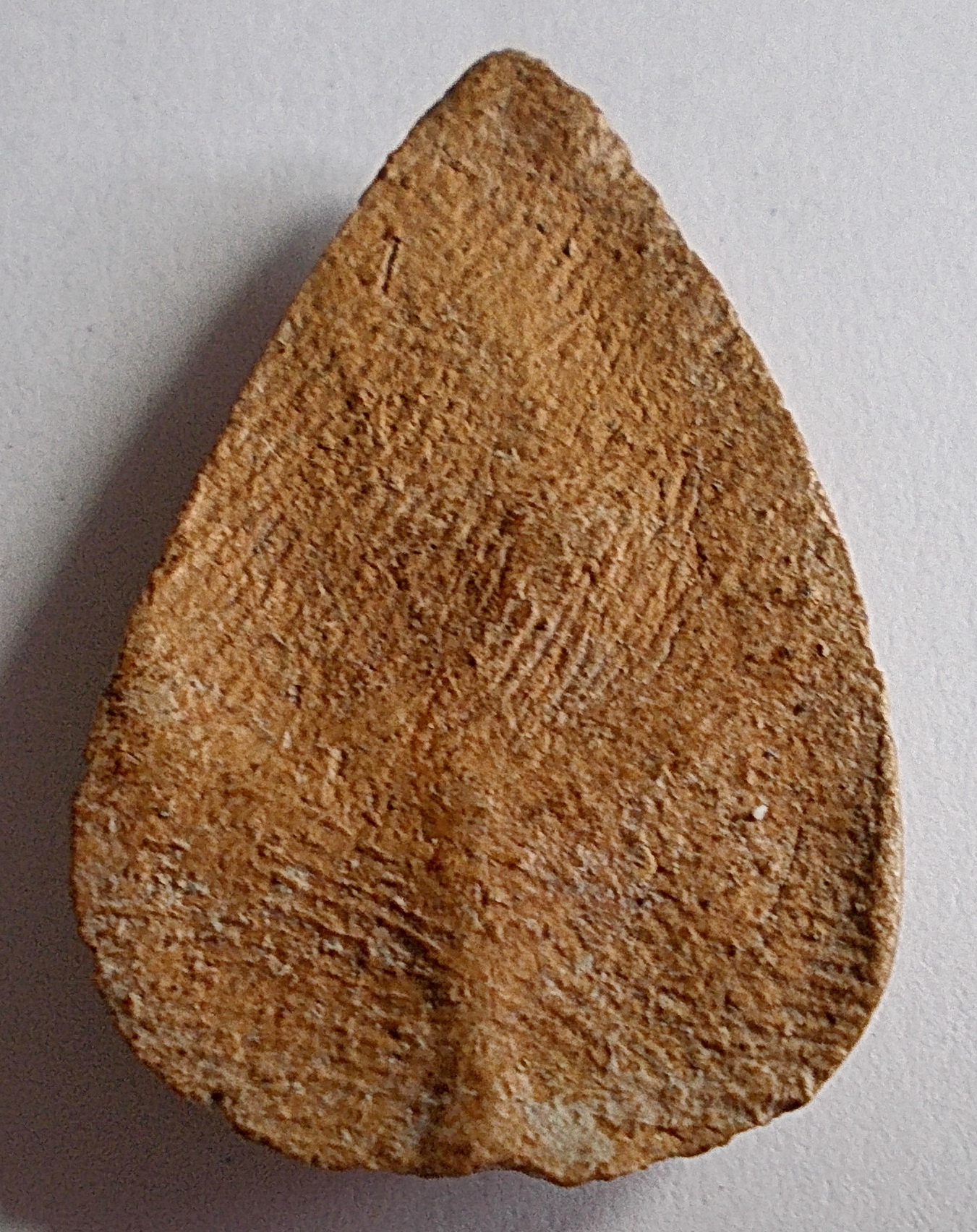 พระกลีบบัว เนื้อดิน กรุวัดลิงขบ