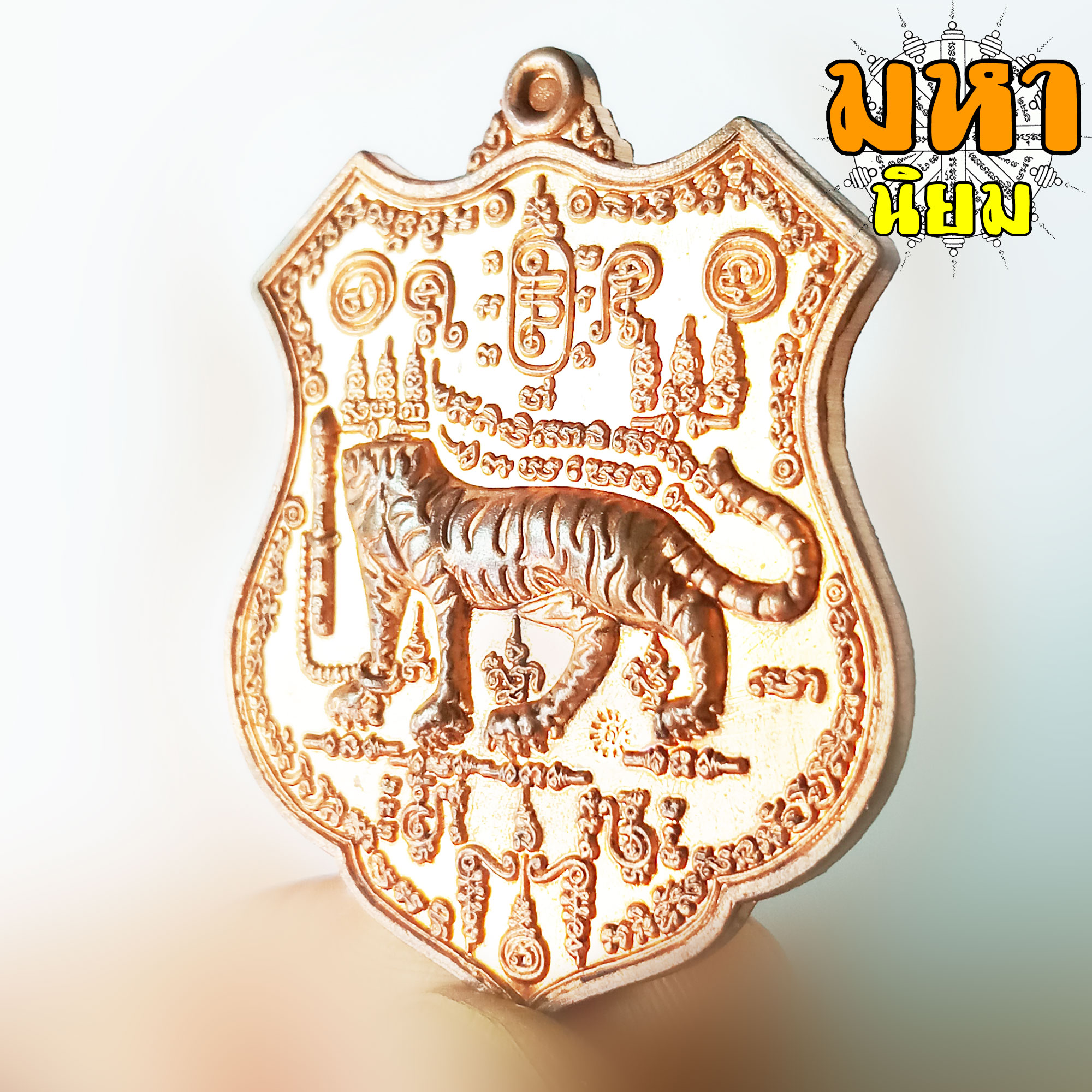 เหรียญเสือหัวขาดตัวหนึ่ง หลวงพ่อไฉน ฉนฺทสาโร จ.ขอนแก่น พร้อมกล่องอย่างดี