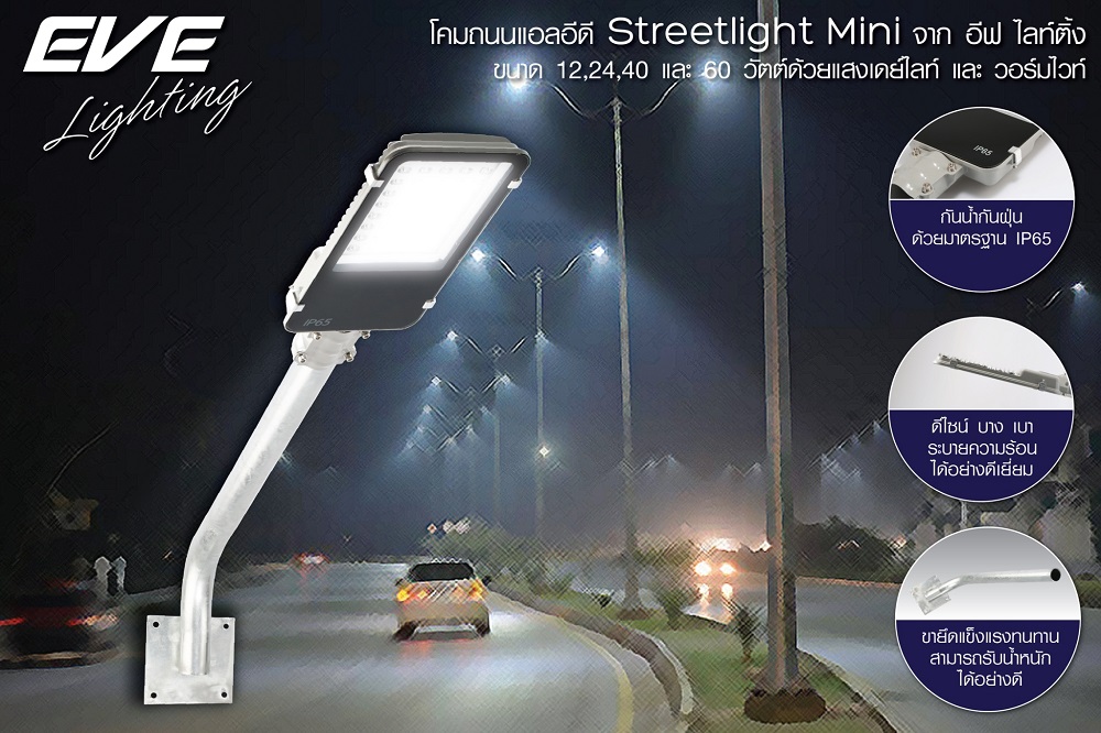 LED Street Light Mini