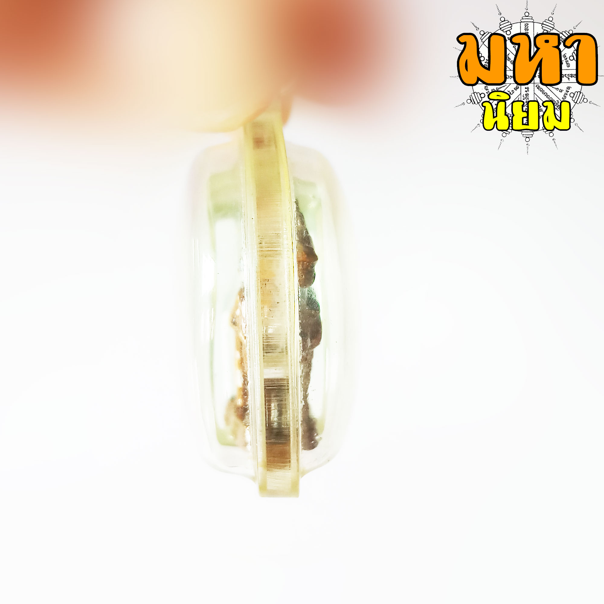 ม้าเสพนาง ครูบาวัง พรหมเสโน วัดบ้านเด่น จ.ตาก