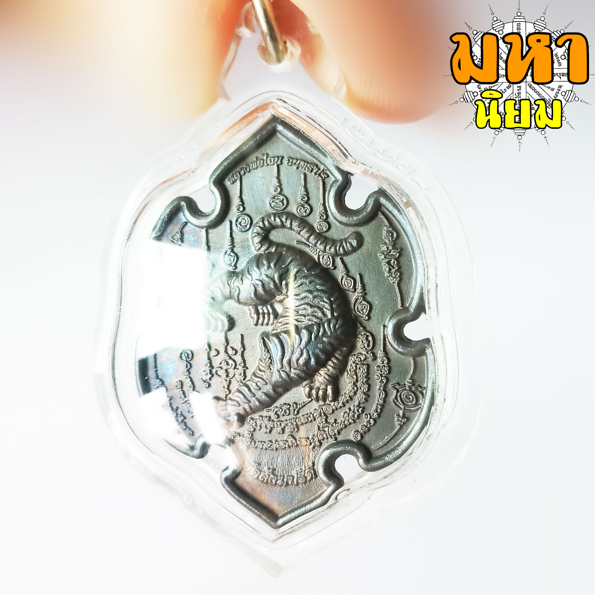 เหรียญเสือล่าเหยื่อ เสือหัวขาดตัวที่ 6 หลวงพ่อไฉน ฉนฺทสาโร จ.ขอนแก่น เนื้อนวะโลหะ เลี่ยมกรอบอย่างดี