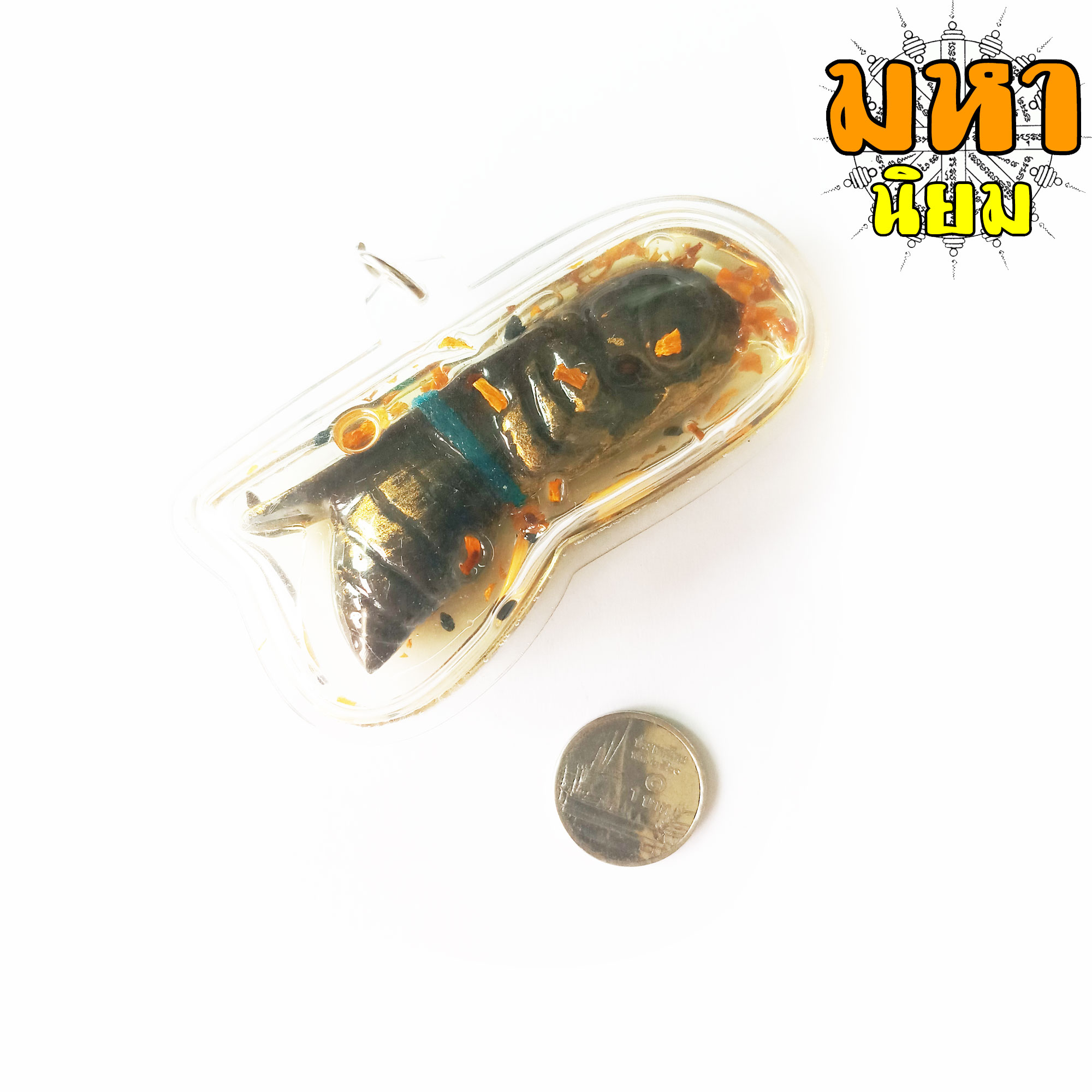 พญาต่อตัว (ใหญ่) วัดบางคลาน จ.พิจิตร