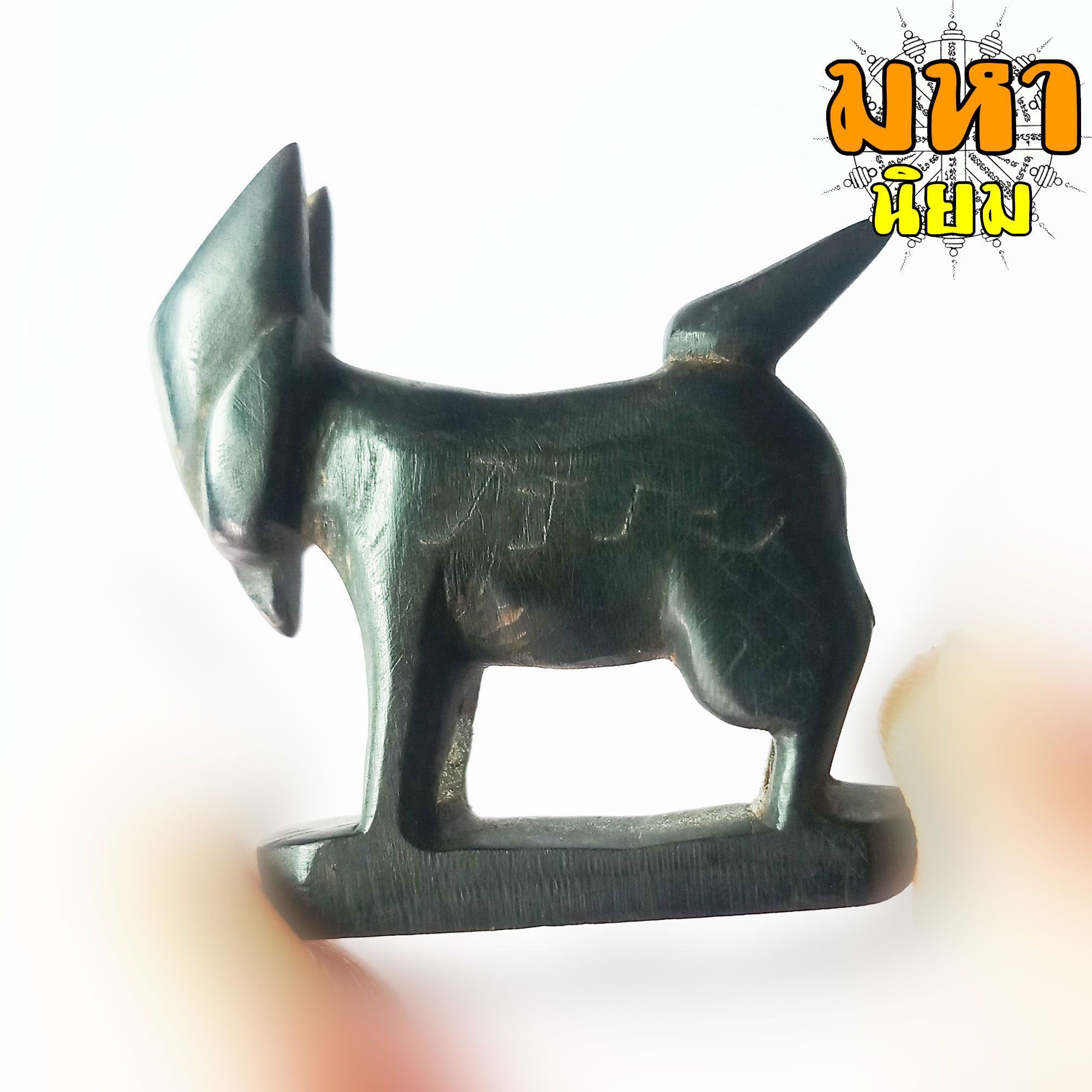 แพะหลวงพ่ออ่ำ วัดหนองกระบอก จ.ระยอง