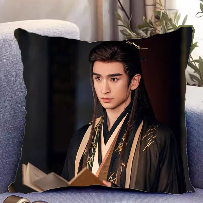 Pre - หมอนลาย จางอวิ๋นหลง ZhangYunLong (ไม่ใช่สินค้าอฟช.)40 cm.