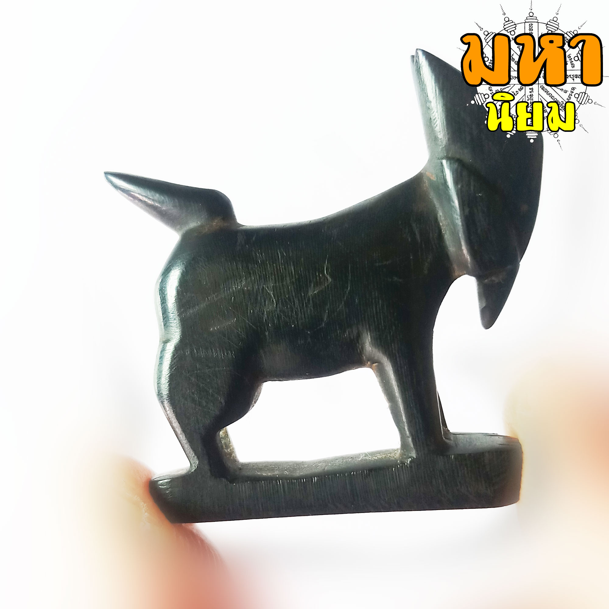 แพะหลวงพ่ออ่ำ วัดหนองกระบอก จ.ระยอง