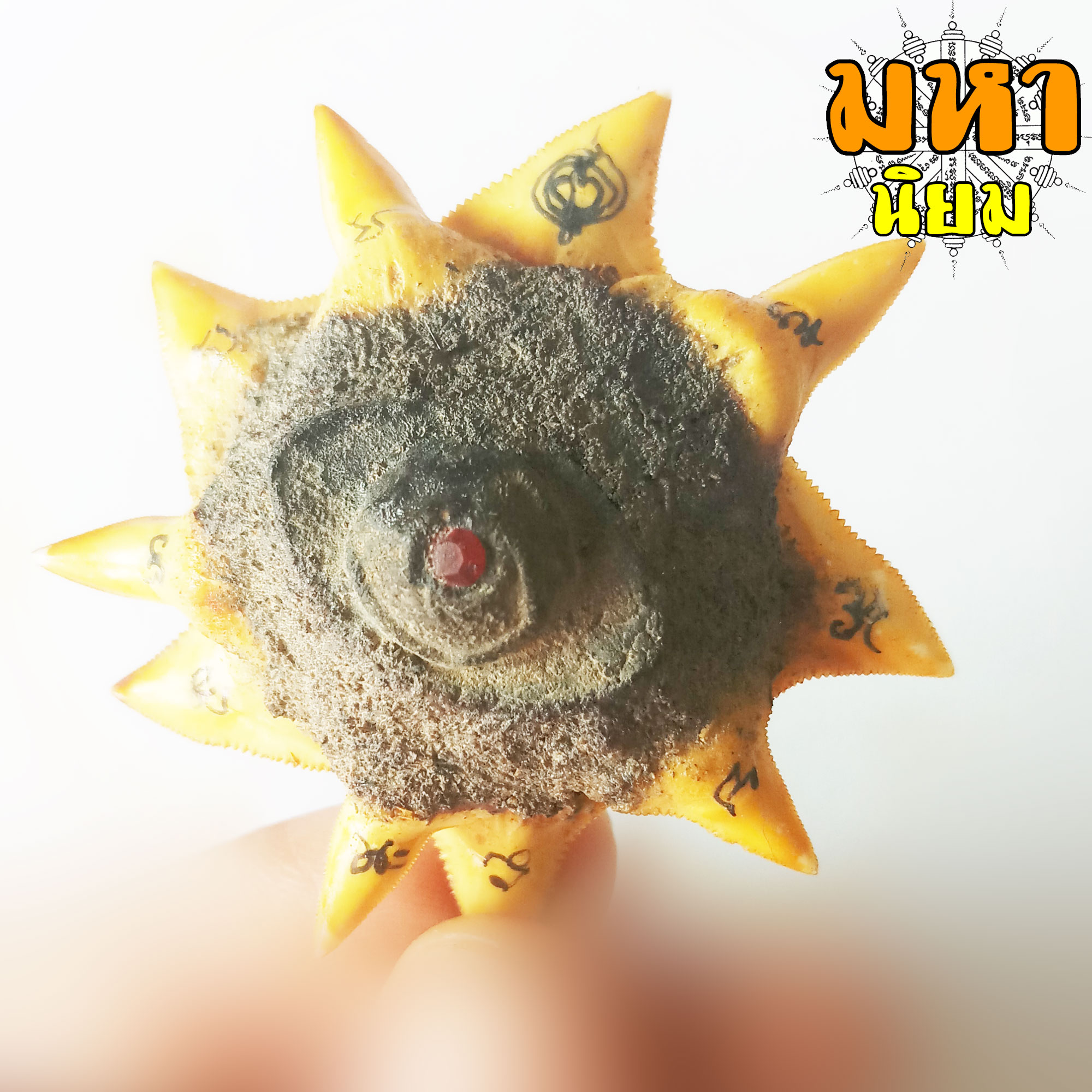 ดวงตาสวรรค์ ฐานฟันฉลาม 10 ซี่ หลวงพ่อผินะ ปิยธโร วัดสนมลาว จ.สระบุรี