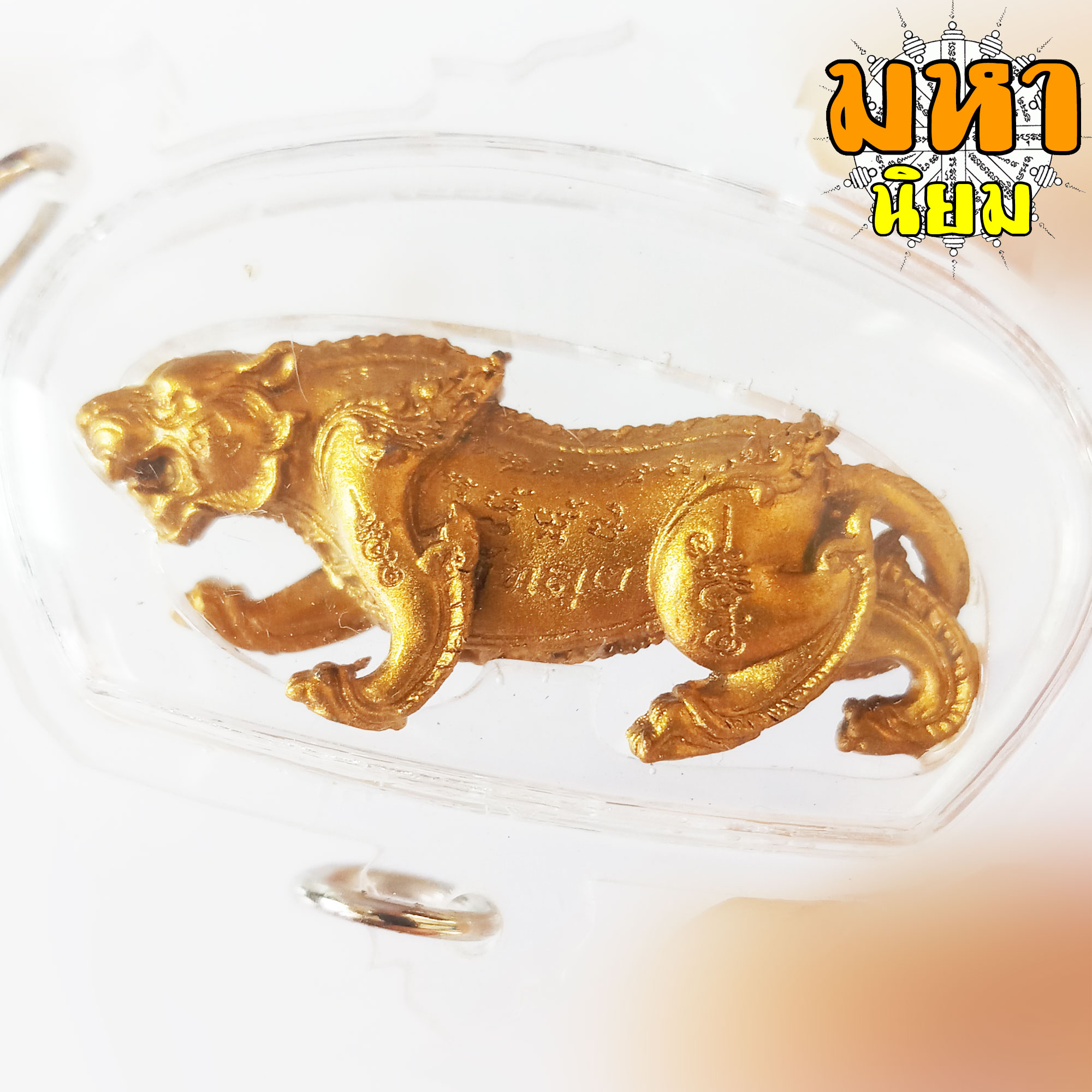 เสือเขาอ้อ พยัคฆ์ราชพุทธาคมเขาอ้อ วัดภูเขาทอง จ.พัทลุง เนื้อนวะโลหะ กะไหล่ทอง เลี่ยมกรอบอย่างดี