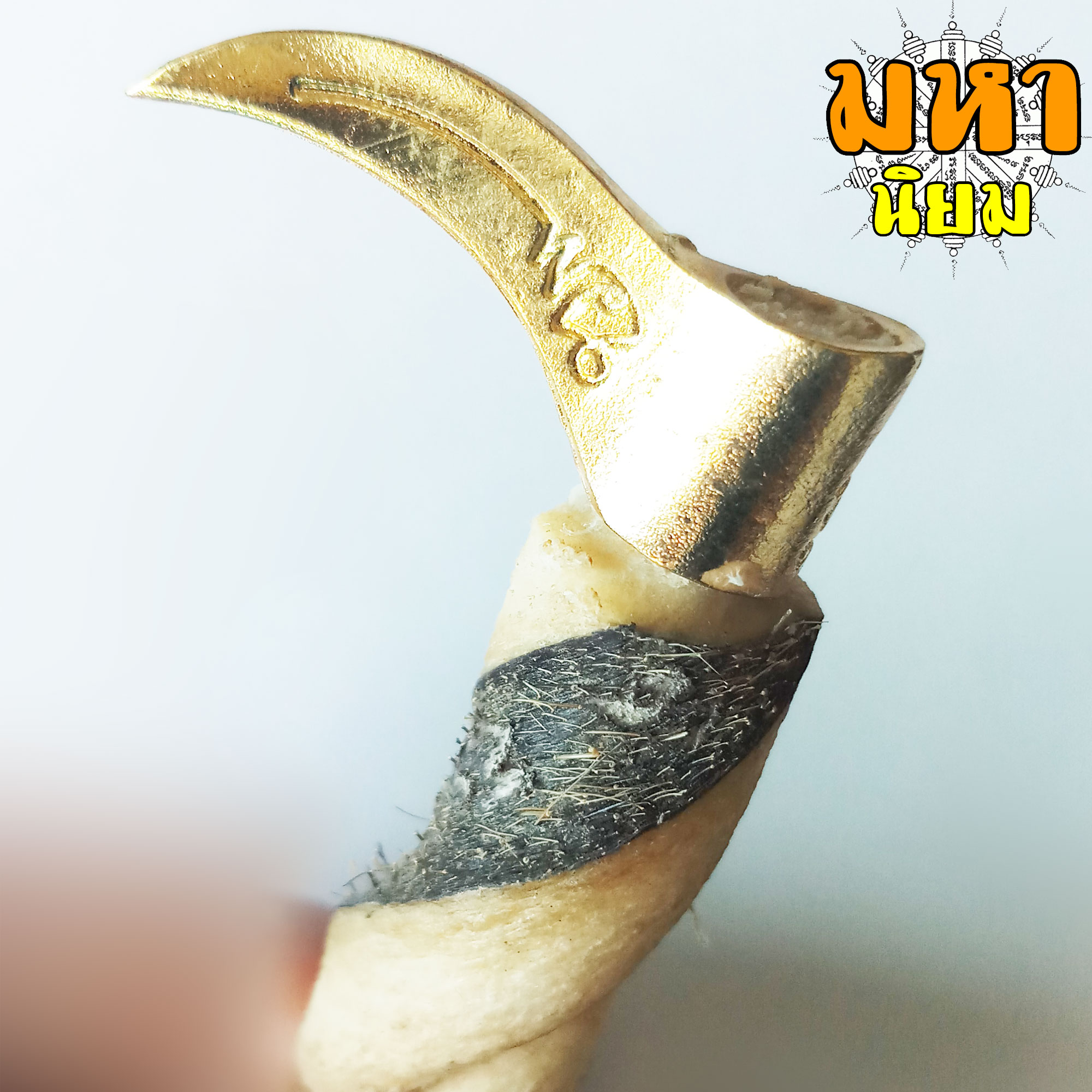 พวงกุญแจ ตะขอช้าง ด้ามหนังปะกำ (ปลุกเสกแล้ว) หมู่บ้านช้าง บ้านตากลาง จ.สุรินทร์