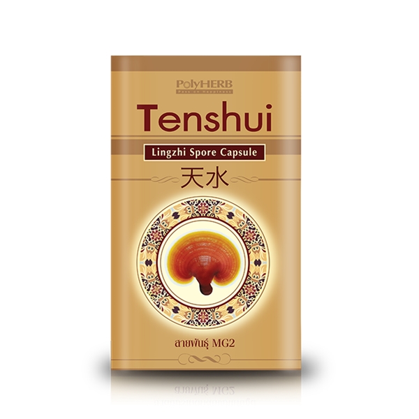 Tenshui (เทียนสุ่ย) สปอร์เห็ดหลินจือกระเทาะเปลือก สายพันธุ์ MG-2