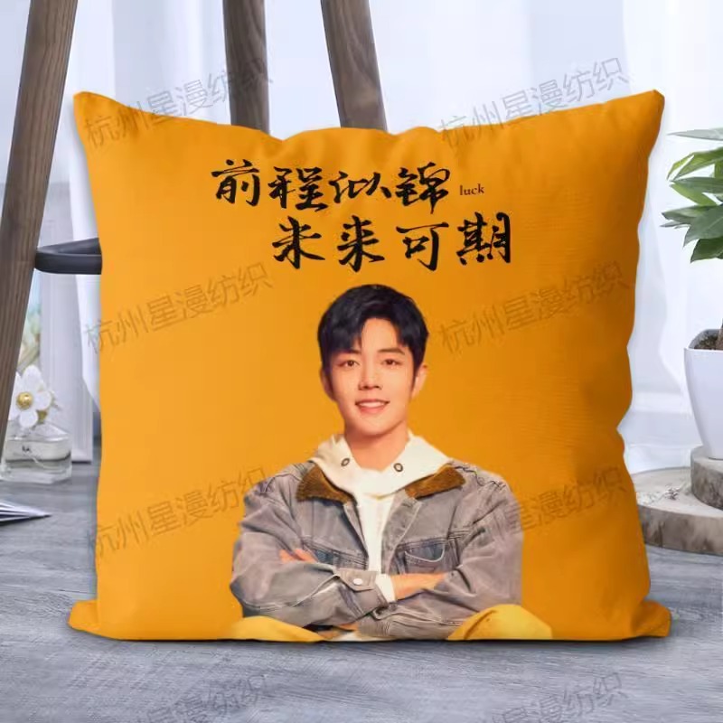 Pre - หมอนลาย เซียวจ้าน Xiaozhan 40 ซม.