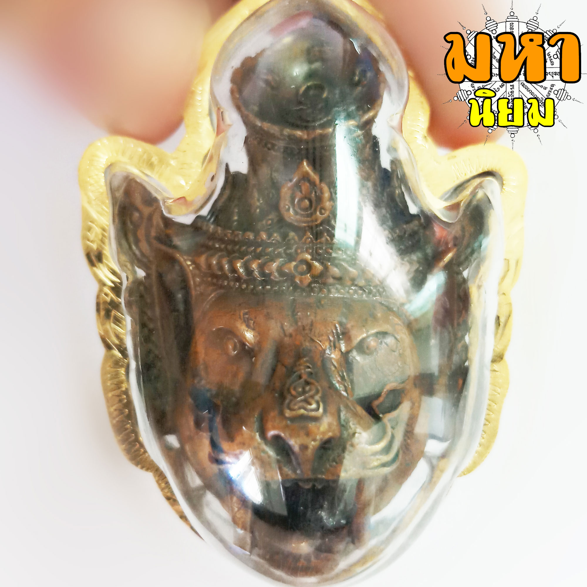 เศียรพ่อครู ฤาษีปู่เสือ รุ่นขุมทรัพย์เขี้ยวแก้ว หลวงปู่กาหลง เขี้ยวแก้ว วัดเขาแหลม จ.สระแก้ว