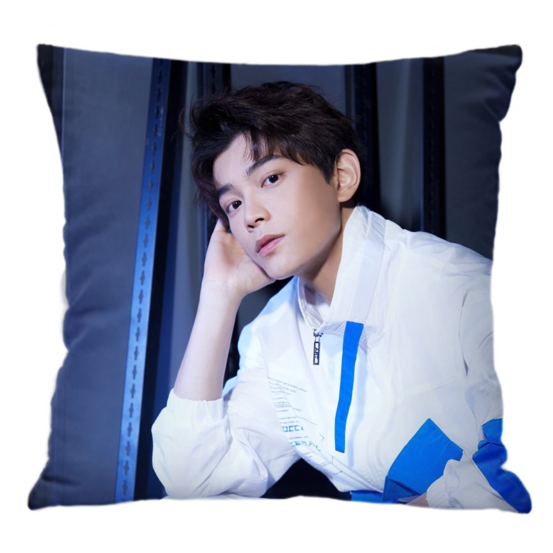 Pre - หมอนลาย ติงอวี่ซี DingYuxi ดาราจีน