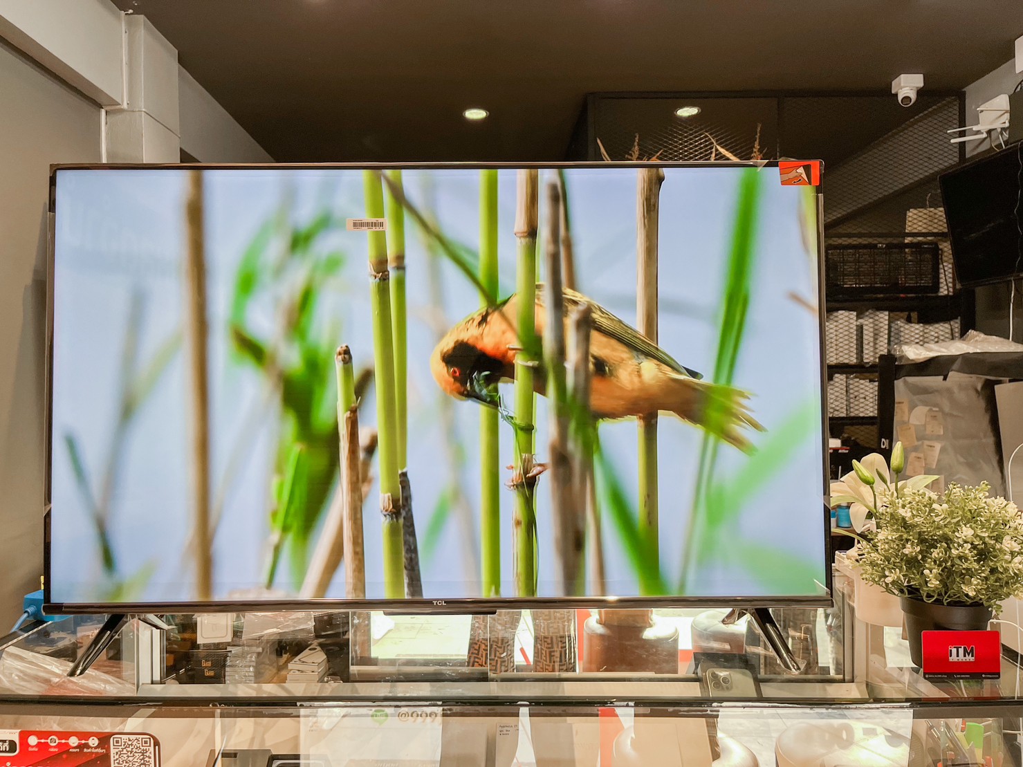 TCL UHD LED (43", 4K, Android) รุ่น 43P635