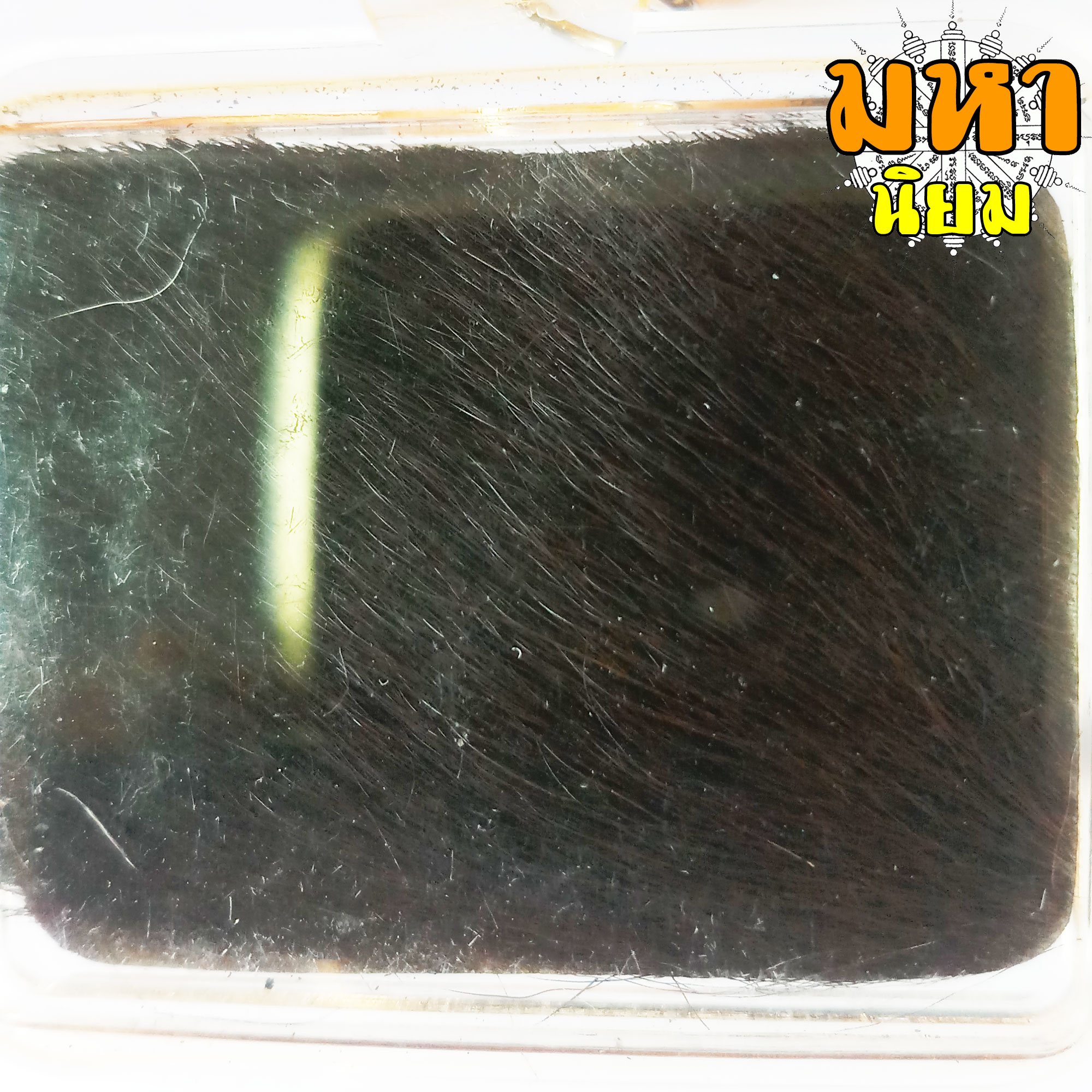 แผ่นหนังเสือ (เสือไฟ) ลงหมึกจารกำกับ ลายเสือหัวขาด หลวงพ่อไฉน วัดคุณากร จ.ขอนแก่น เลี่ยมกรอบอย่างดี