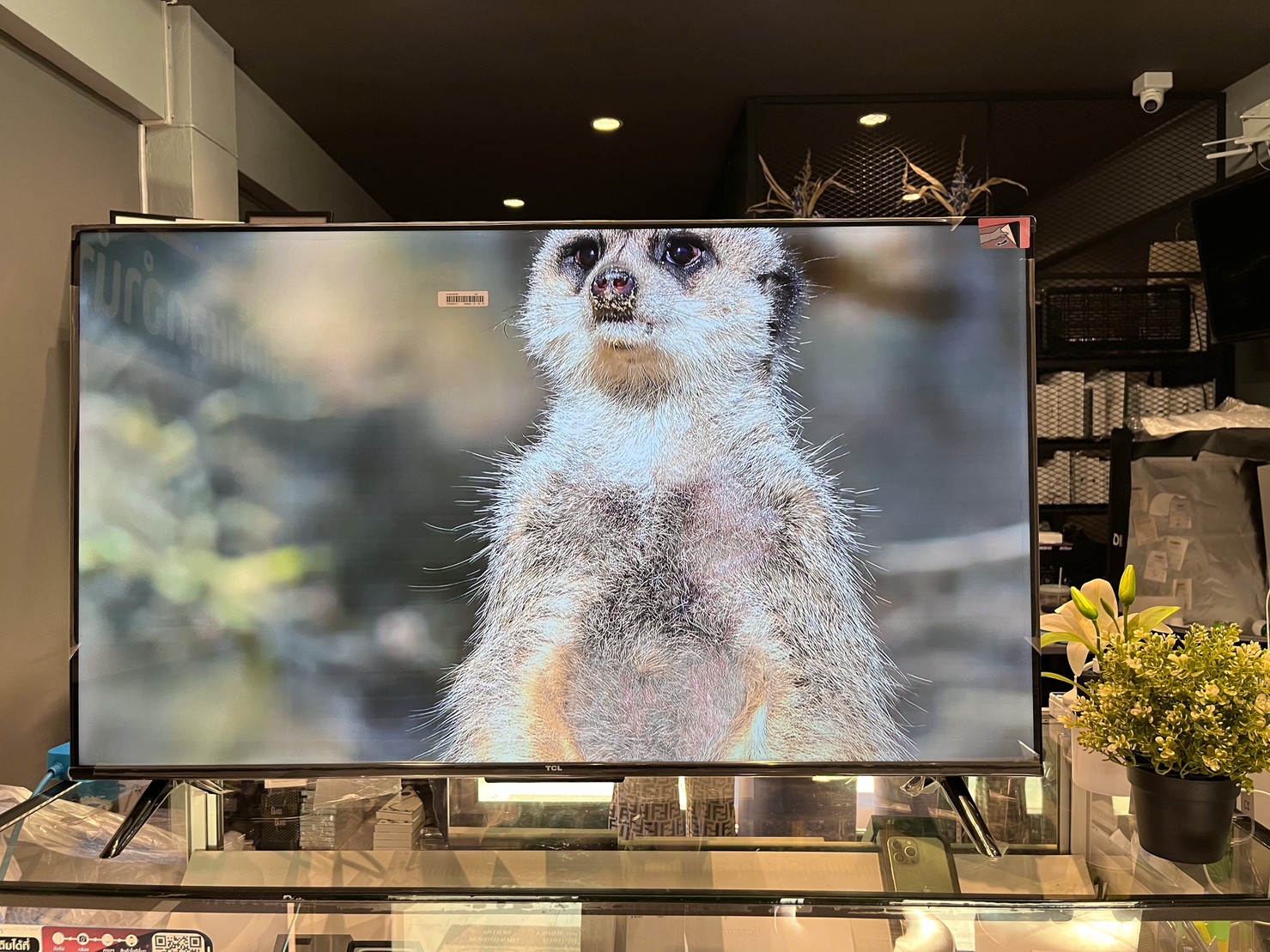 TCL UHD LED (43", 4K, Android) รุ่น 43P635