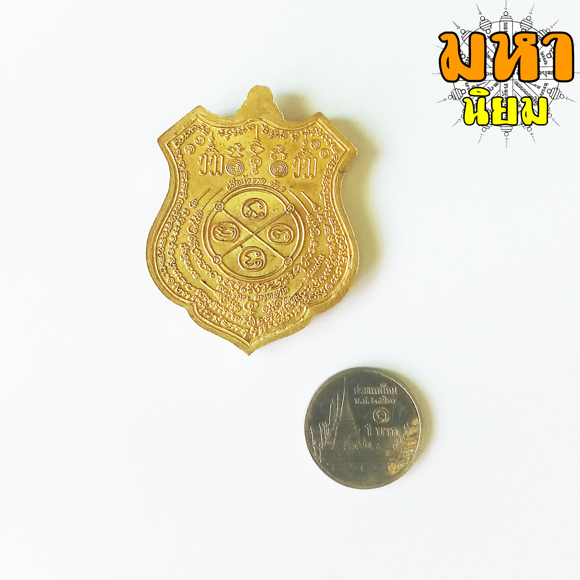 เหรียญเสือหัวขาดตัวหนึ่ง หลวงพ่อไฉน ฉนฺทสาโร จ.ขอนแก่น พร้อมกล่องอย่างดี