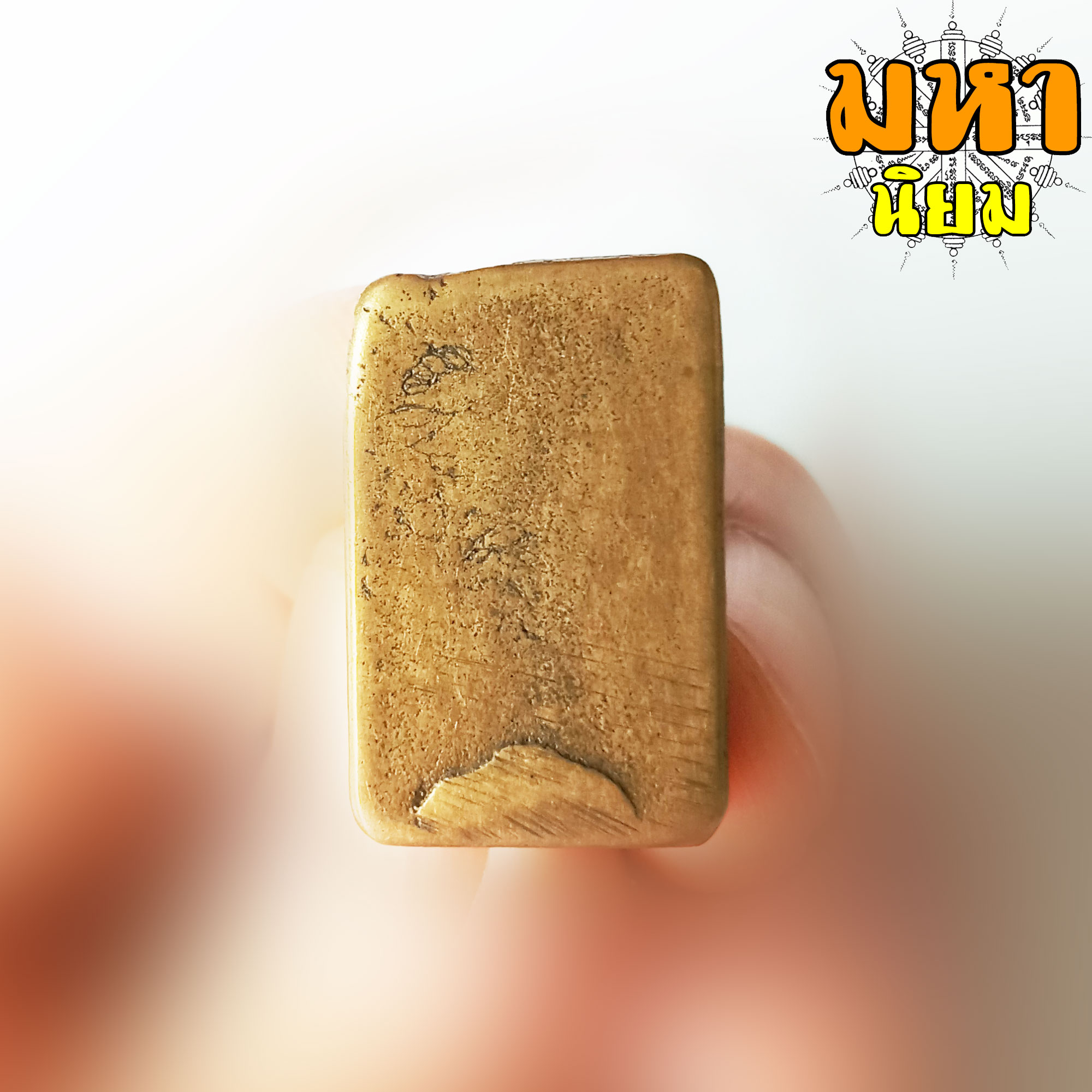 พระหลวงปู่ศุข พิมพ์ครุฑแบกแท่น วัดคลองมะขามเฒ่า จ.ชัยนาท