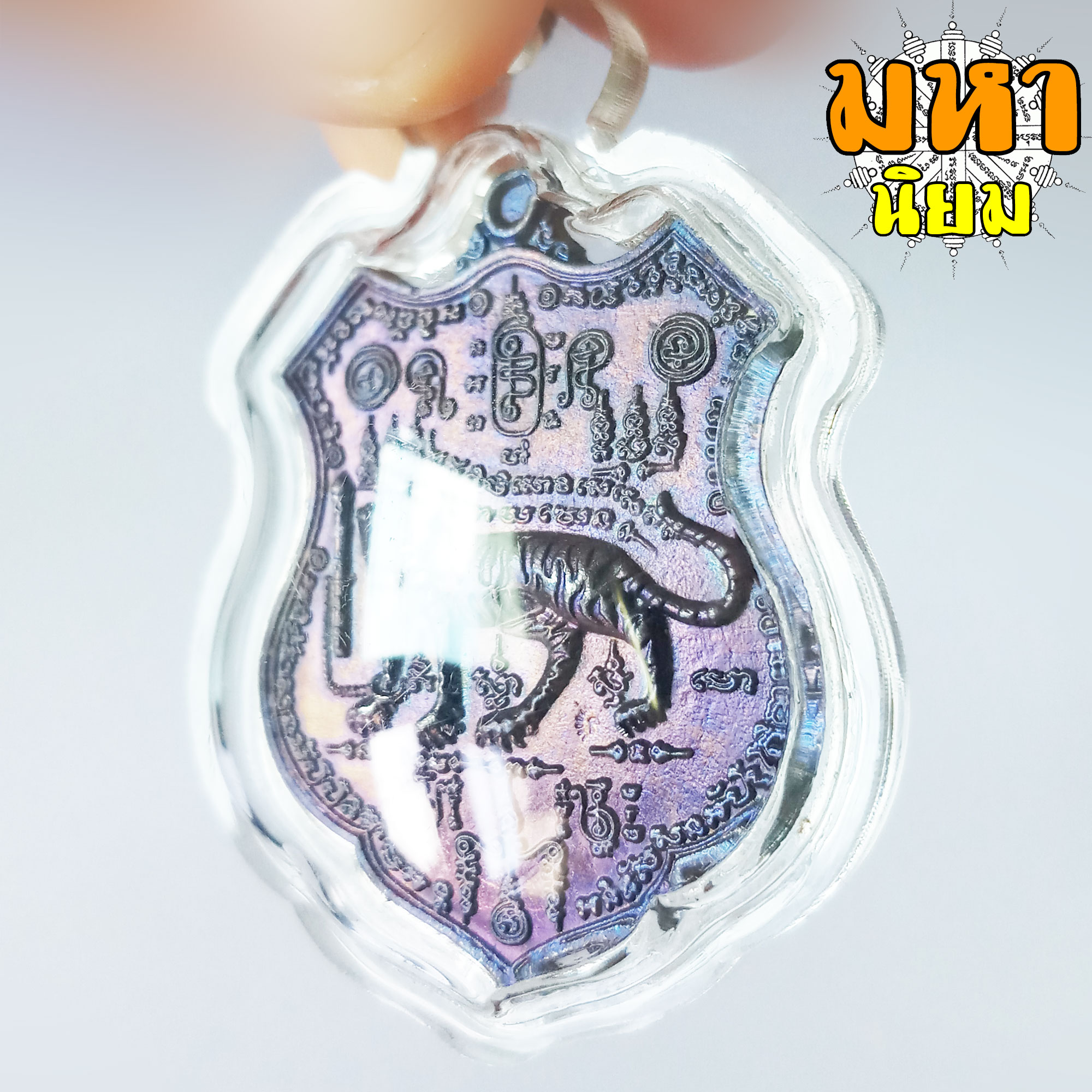 เหรียญเสือหัวขาดตัวหนึ่ง หลวงพ่อไฉน ฉนฺทสาโร จ.ขอนแก่น เนื้อนวะโลหะ เลี่ยมกรอบอย่างดี