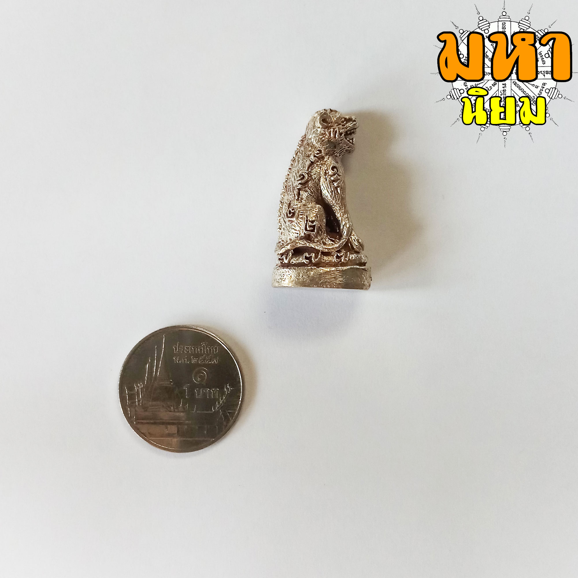 เสือหลวงพ่อปาน วัดคลองด่าน จ.สมุทรปราการ