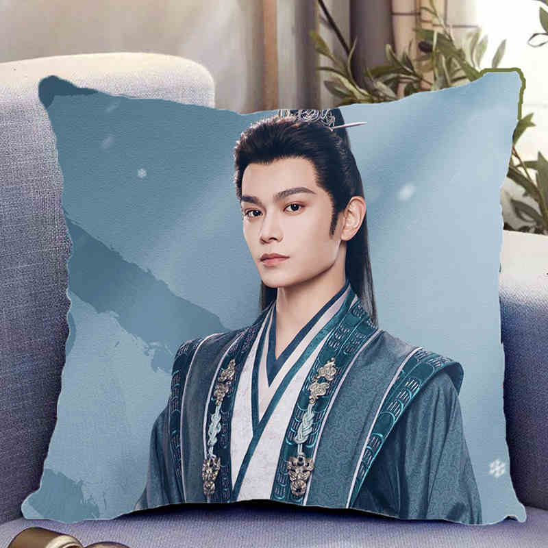 Pre - หมอนลายซีรีส์จีนทำนองรักกังวานแดนดิน 40 cm/"ติงอวี่ซี & เติ้งเอินซี"