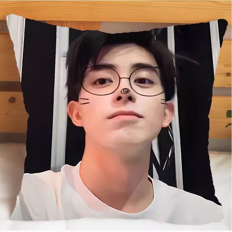 Pre - หมอนลาย อ๋าวรุ่ยเผิง AoRuipeng 40 cm.(ไม่ใช่สินค้าอฟช.)