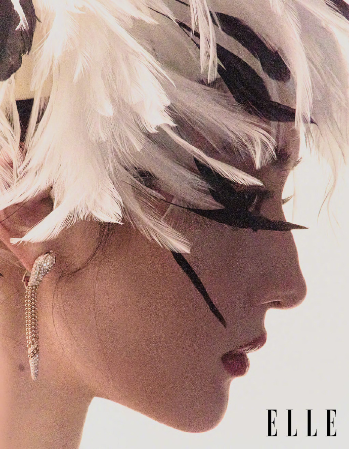 Pre - นิตยสาร ELLE หลิวอี้เฟย LiuYifei 2025+การ์ด