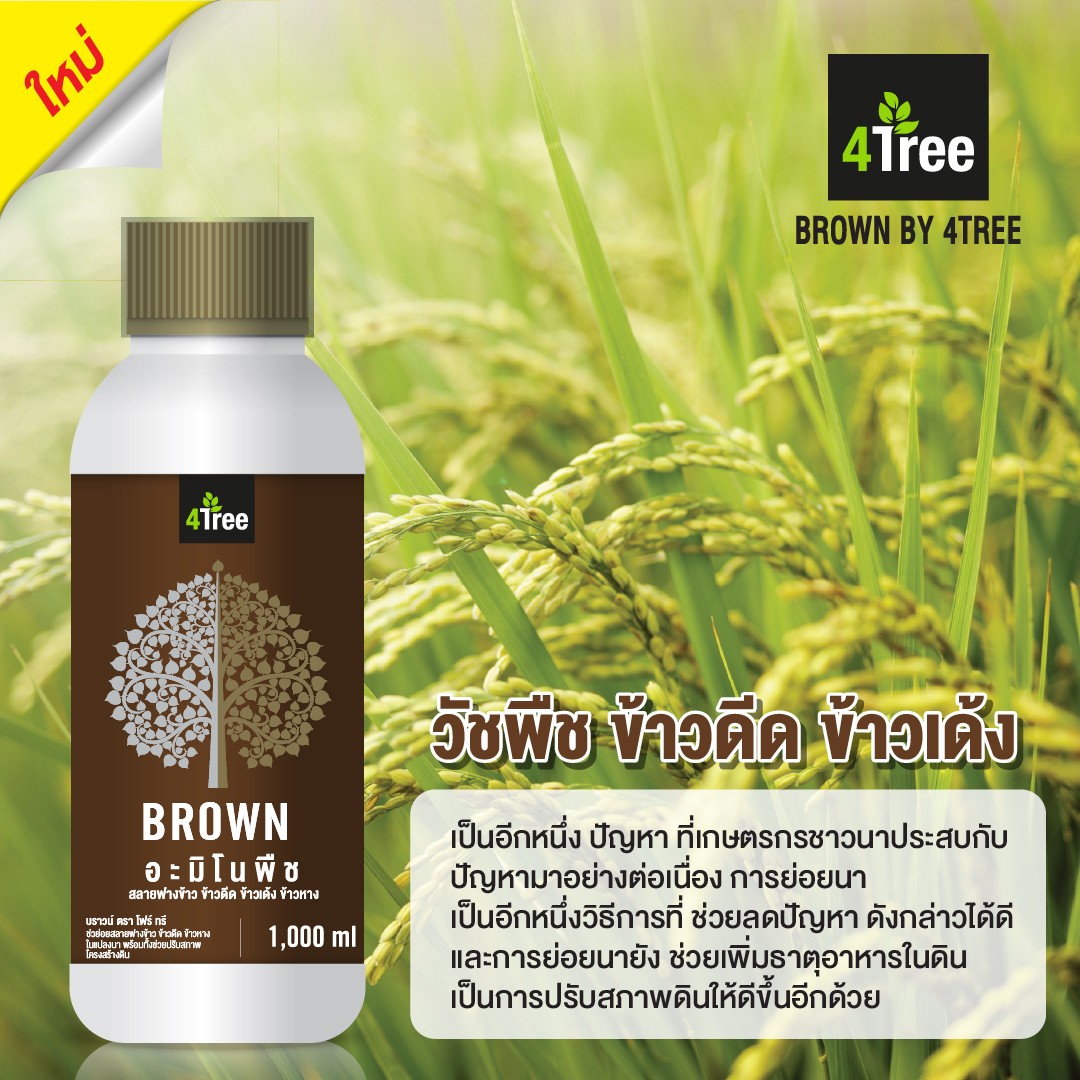 อะมิโน บราวน์ Amino Brown 4tree จุลินทรีย์