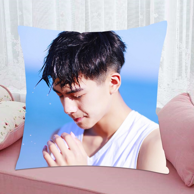 Pre - หมอนลายซ่งเวยหลง SongWeilong 宋威龙 36 cm