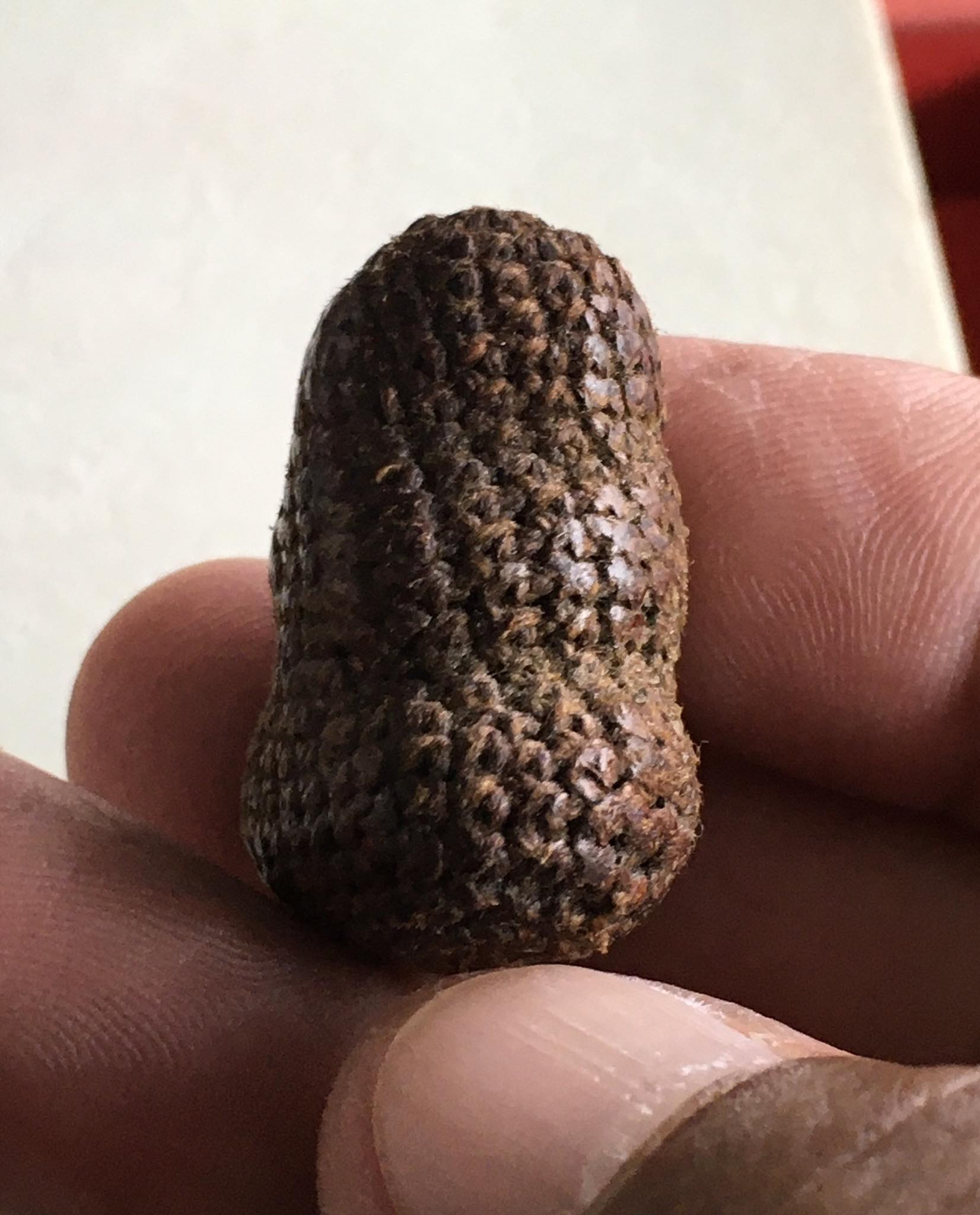 พระปิดตาเนื้อผง คลุงรัก ถักเชือก หลวงพ่อทองสุข วัดสะพานสูง