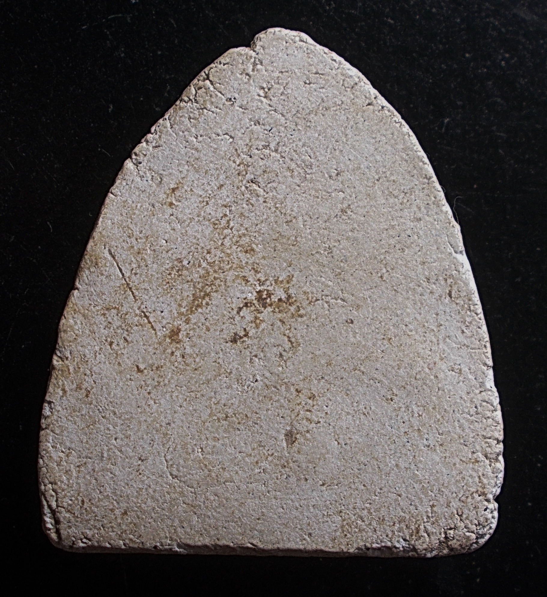 พระเนื้อผง วัดประสาทฯ ปี 2506 พิมพ์ หลวงพ่อโต บางกระทิง