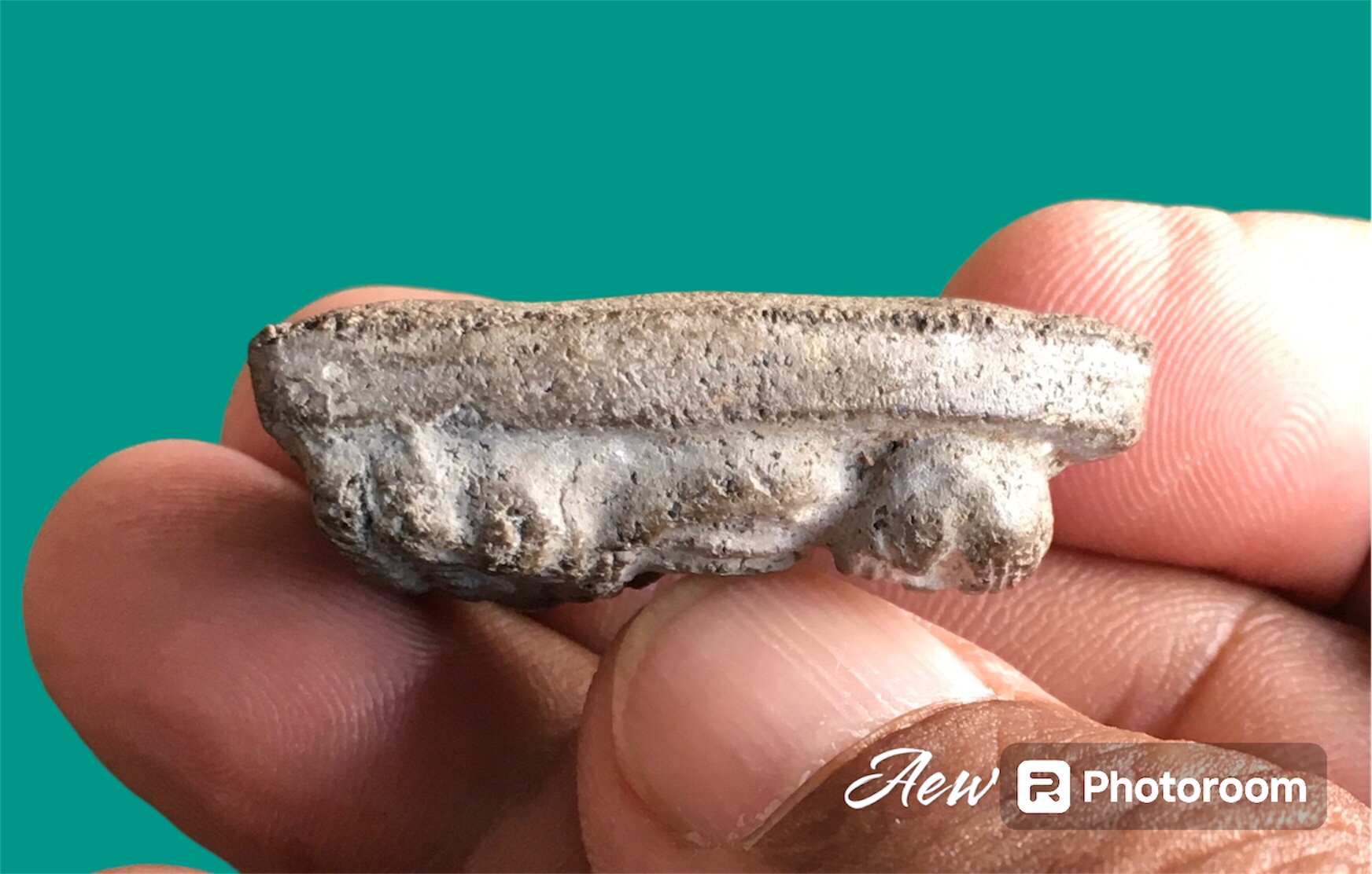 พระเนื้อว่านหลวงปู่ทวด วัดช้างให้ ปัตตานี พิมพ์ใหญ่แจกกรรมการ ปี2497