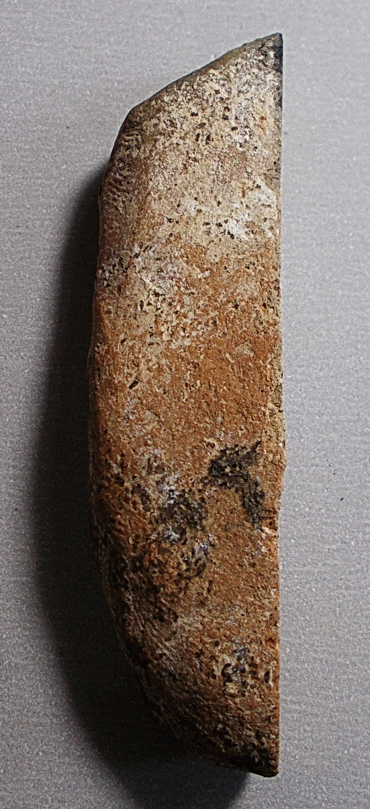 พระแผงตัด กรุพระธาตุนาดูน มหาสารคาม ตัดสี่องค์