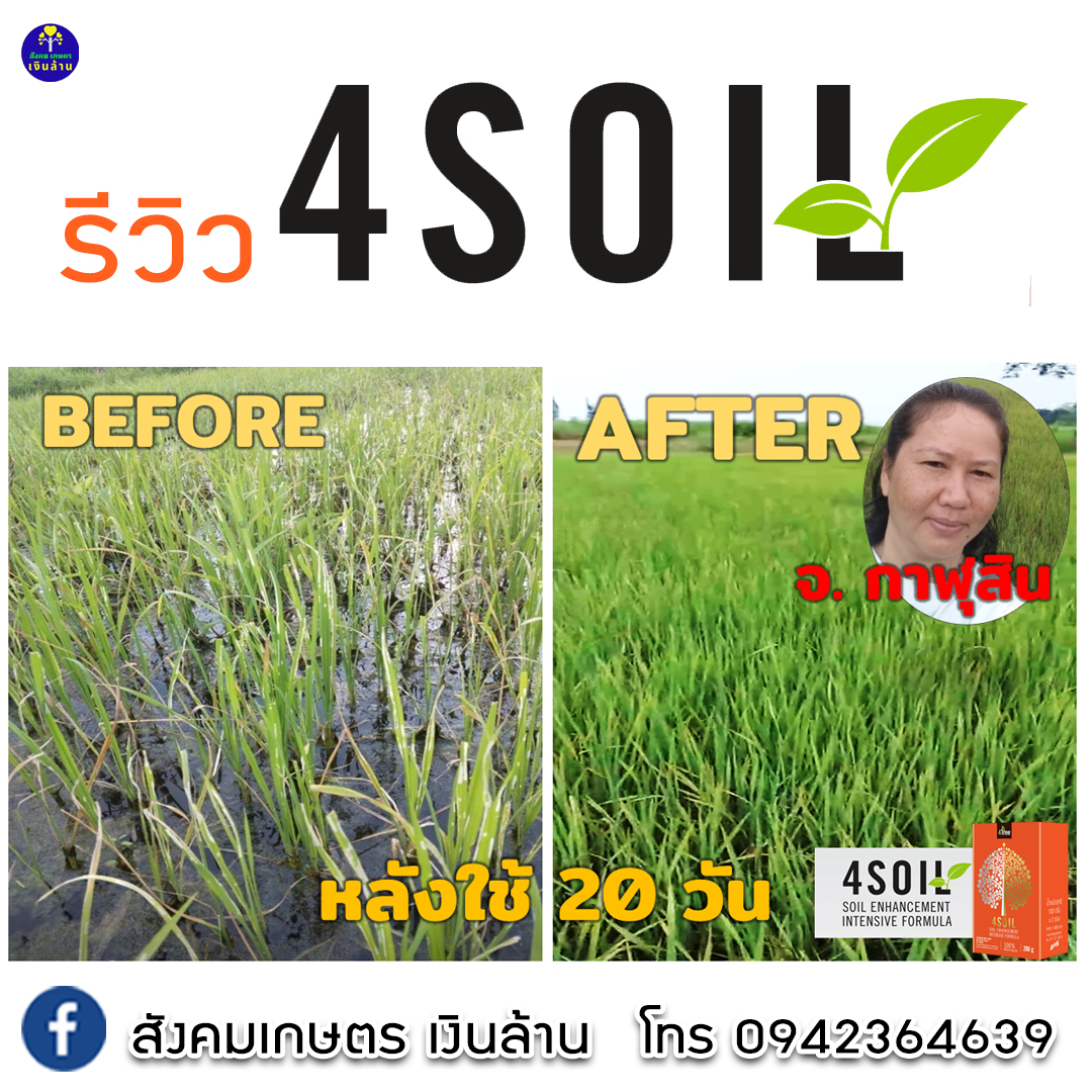 4SOIL plus โฟร์ซอย..สูตรใหม่ สารเสริมประสิทธิภาพสำหรับดิน สูตรเข้มข้น ช่วยลดปัญหาต่าง ๆ ของดิน 4tree