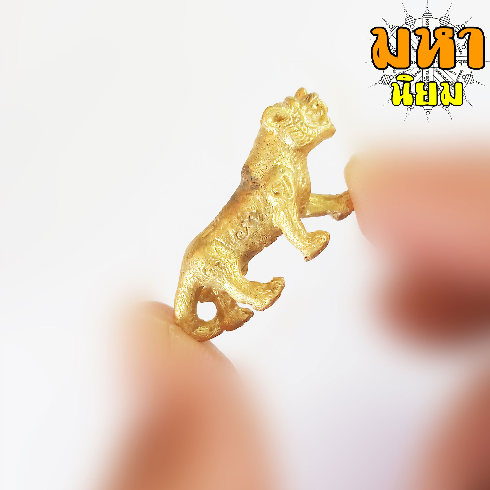 เสือหลวงพ่อเปิ่น ฐิตคุโณ วัดบางพระ จ.นครปฐม