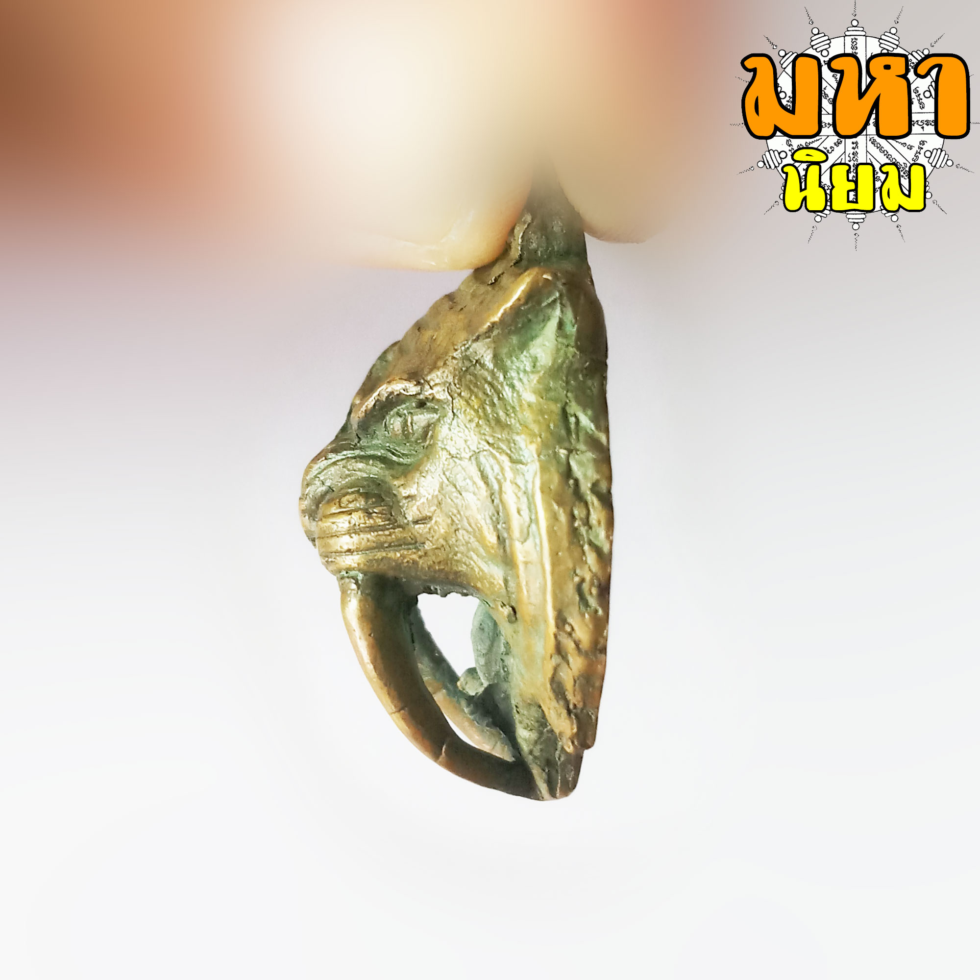 หน้าเสือ มหาอำนาจ หลวงพ่อสุด วัดกาหลง