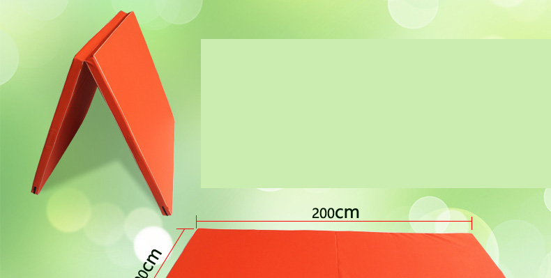 (สินค้าพรีออเดอร์) PSC6009P เบาะโรงยิม Vestibular Board ขนาด 200*100cm
