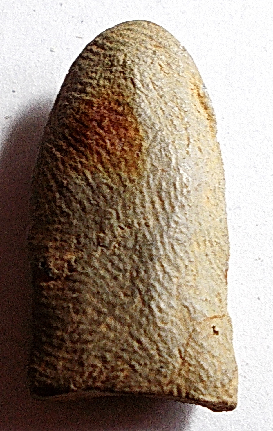 พระรอดแสงตา กรุวัดมหาวัน จ.ลำพูน