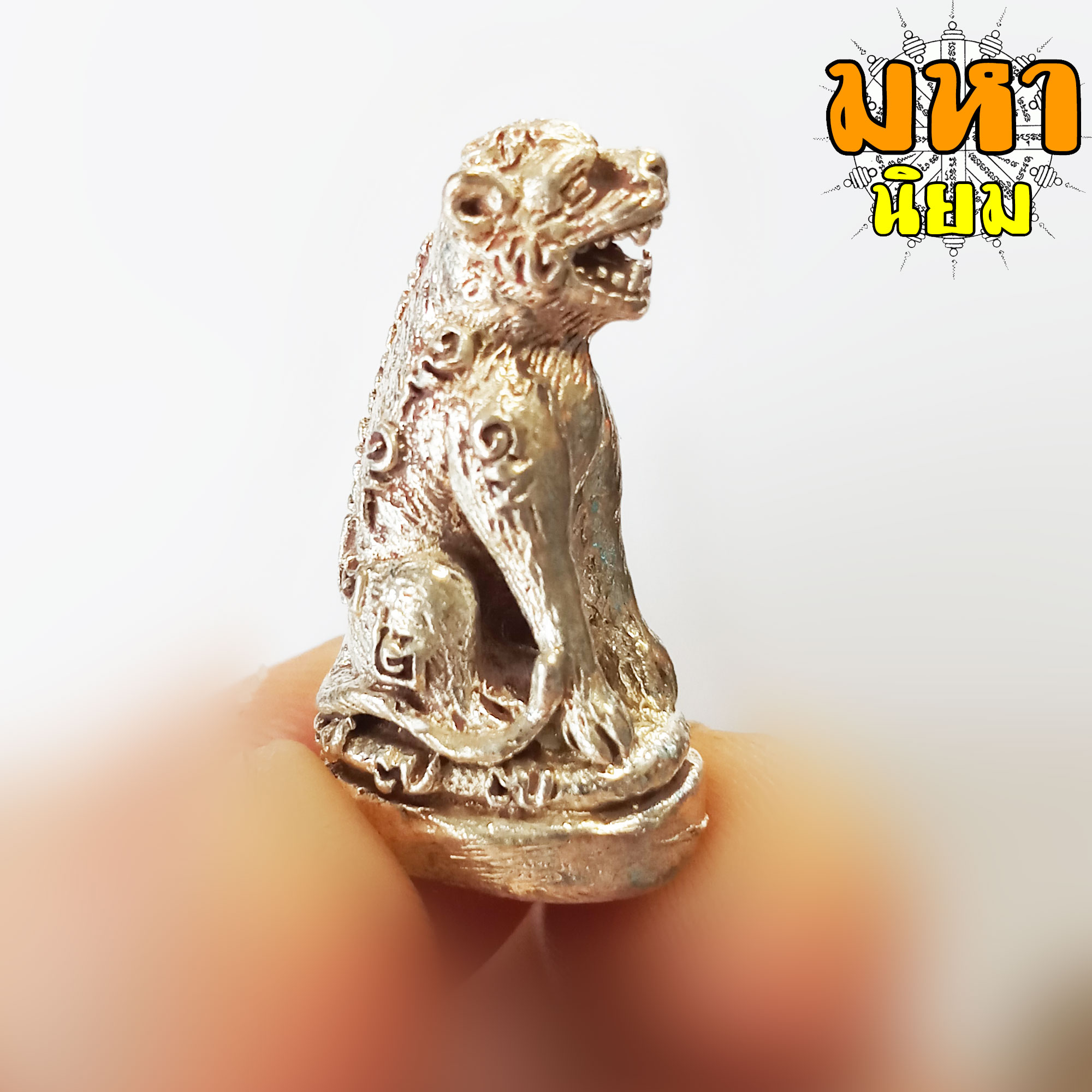 เสือหลวงพ่อปาน วัดคลองด่าน จ.สมุทรปราการ