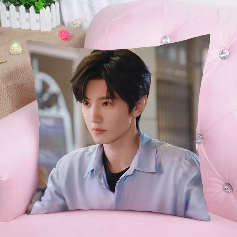 Pre - หมอนลาย ChenZheyuan เฉินเจ๋อหย่วน 33 cm