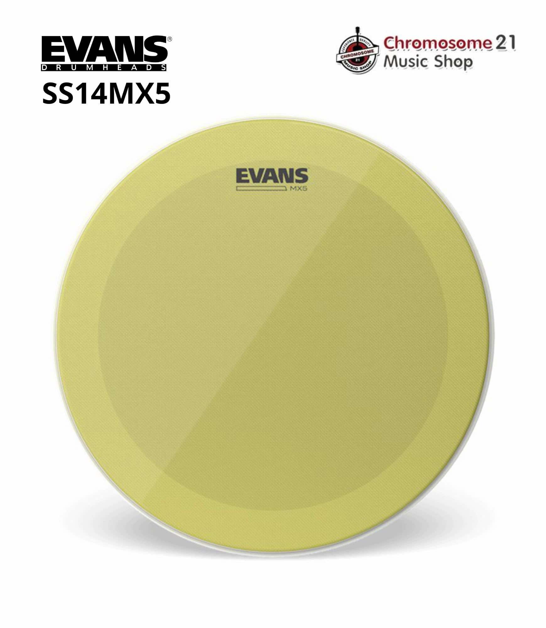 หนังล่าง สแนร์มาร์ชชิ่ง Evans SS14MX5 ขนาด14 นิ้ว