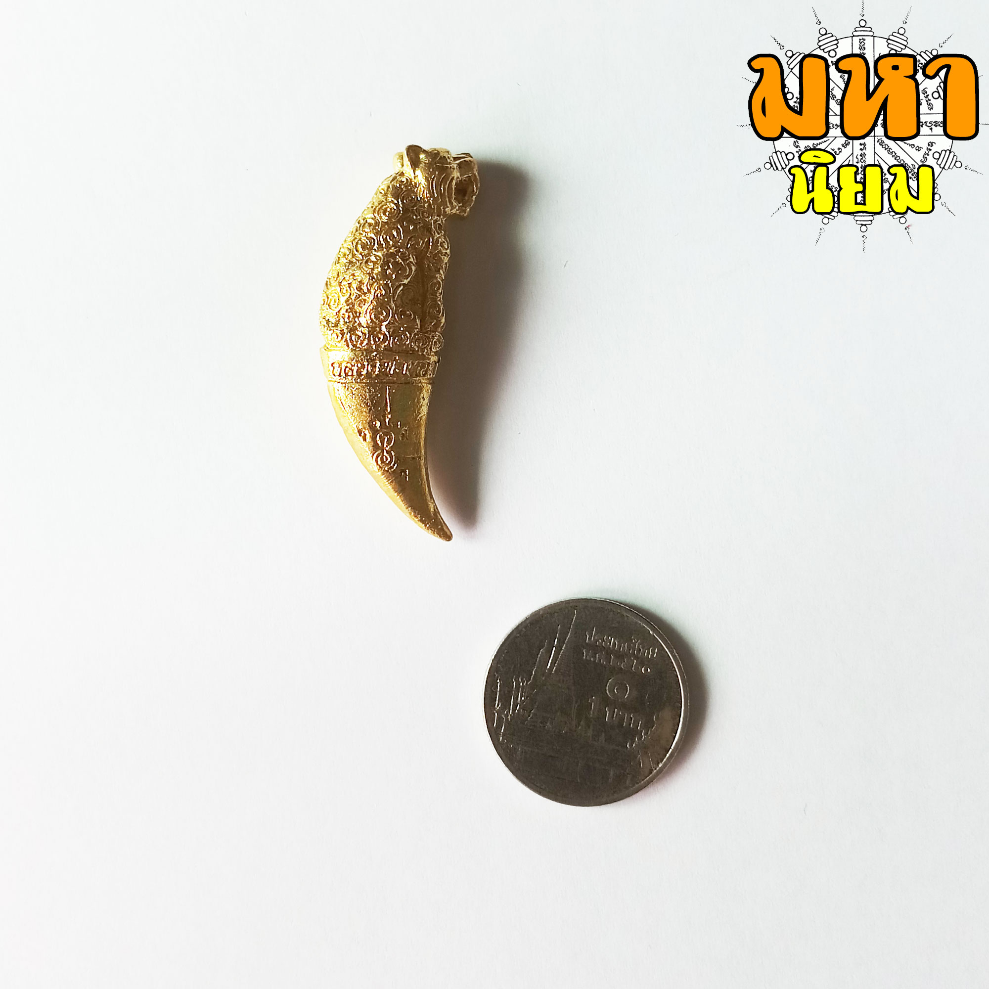 เขี้ยวเสือพุทธาคม หลวงพ่อหวล วัดชาวเหนือ จ.ราชบุรี