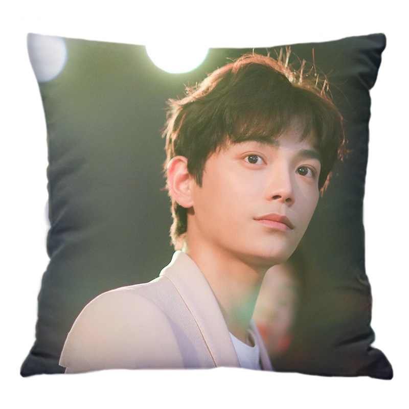 Pre - หมอนลาย ติงอวี่ซี DingYuxi ดาราจีน