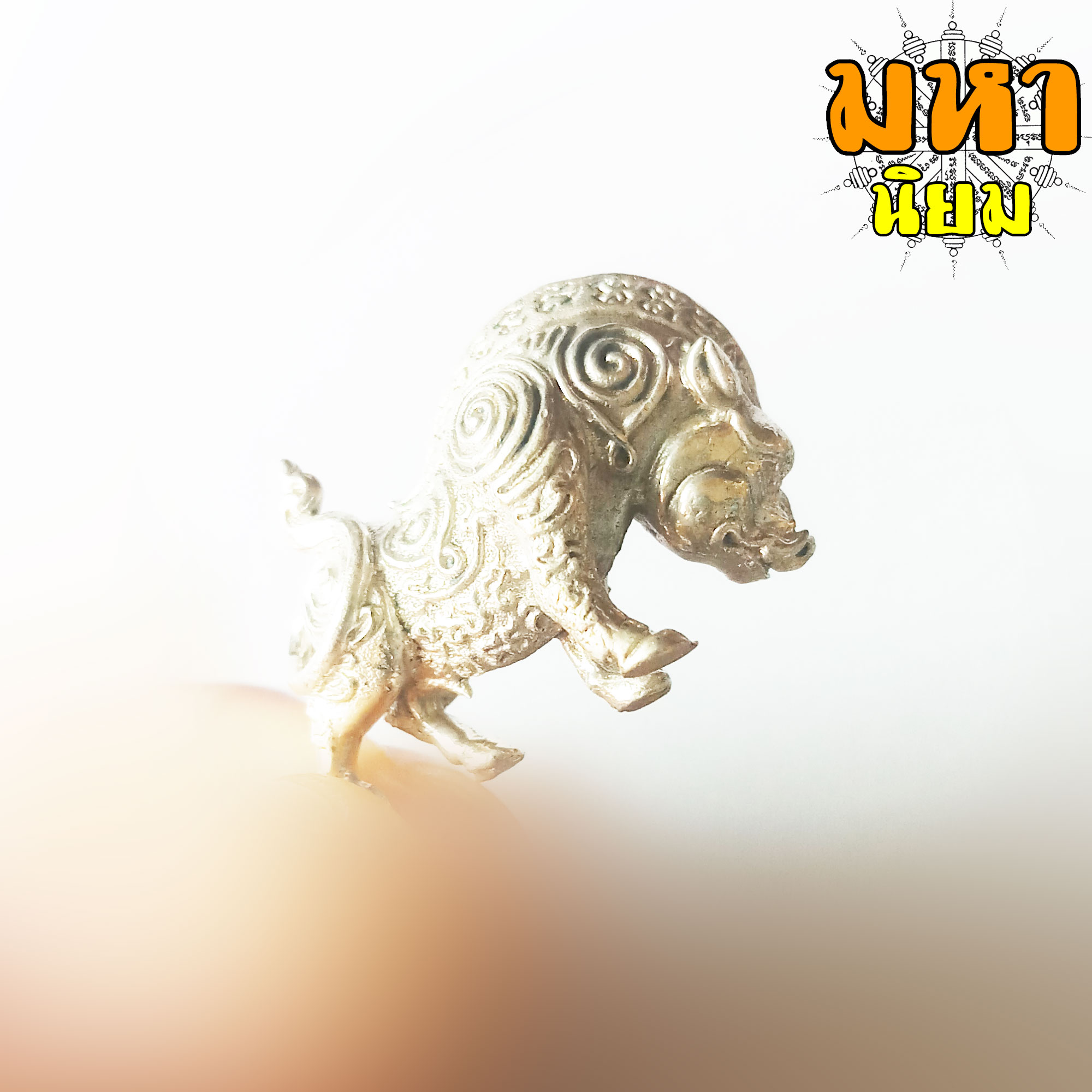 หมูป่ามหาเวทย์ หลวงปู่กาหลง เขี้ยวแก้ว วัดเขาแหลม จ.สระแก้ว