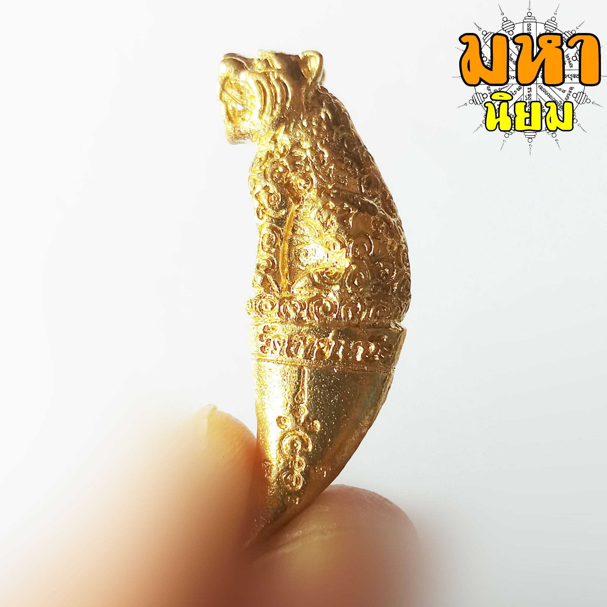 เขี้ยวเสือพุทธาคม หลวงพ่อหวล วัดชาวเหนือ จ.ราชบุรี