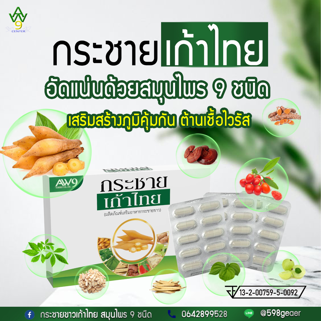 กระชายขาว เก้าไทย (สมุนไพร) - AW9