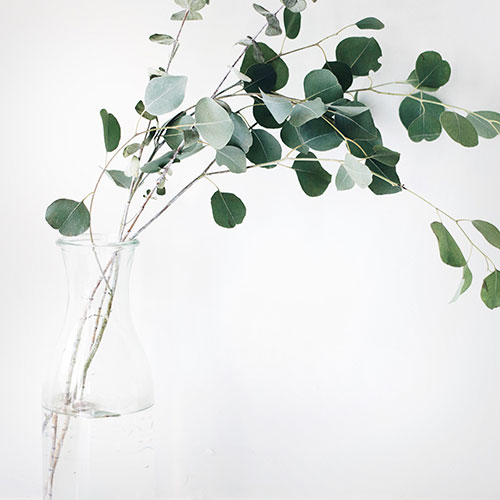 Artificial potted plant D