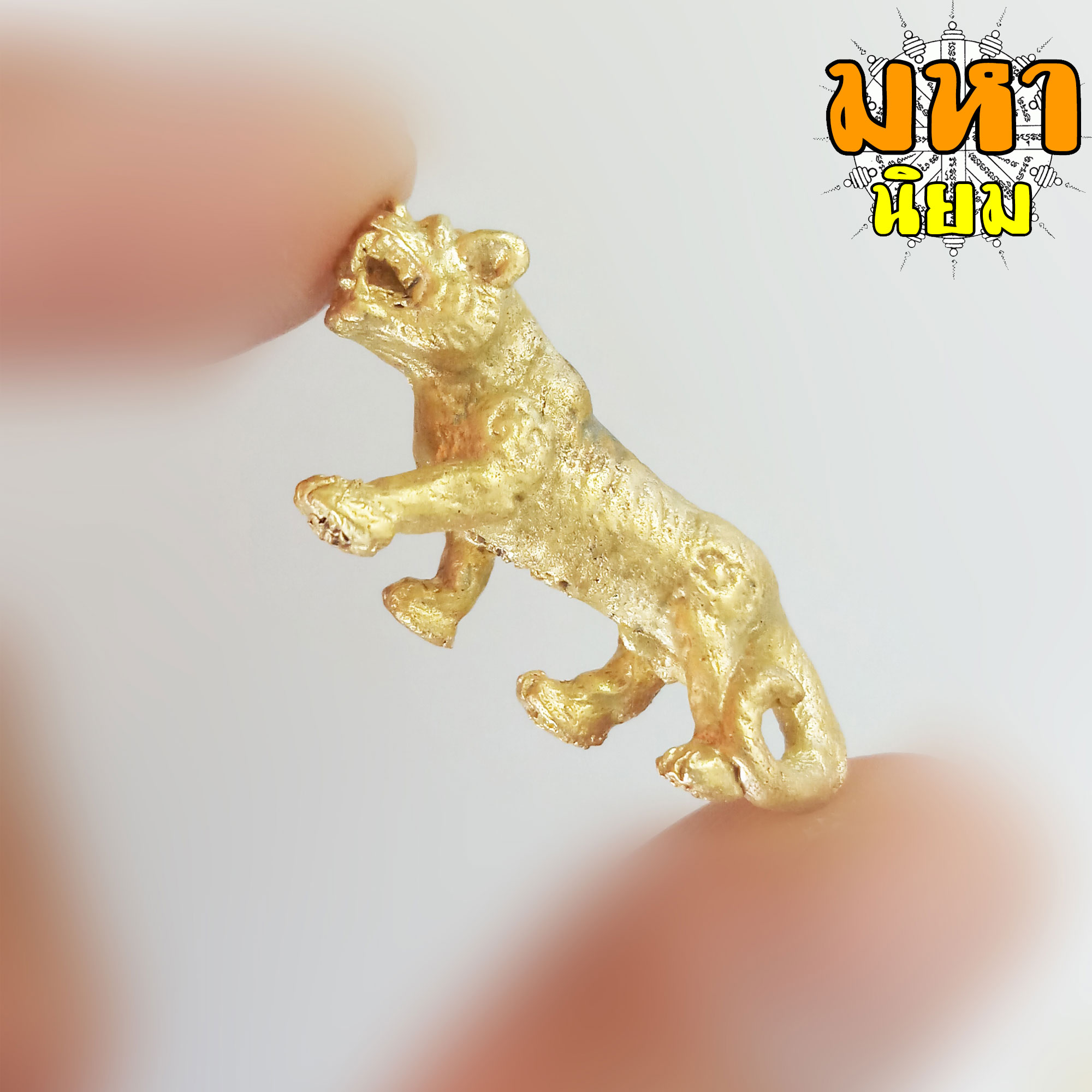 เสือหลวงพ่อเปิ่น ฐิตคุโณ วัดบางพระ จ.นครปฐม