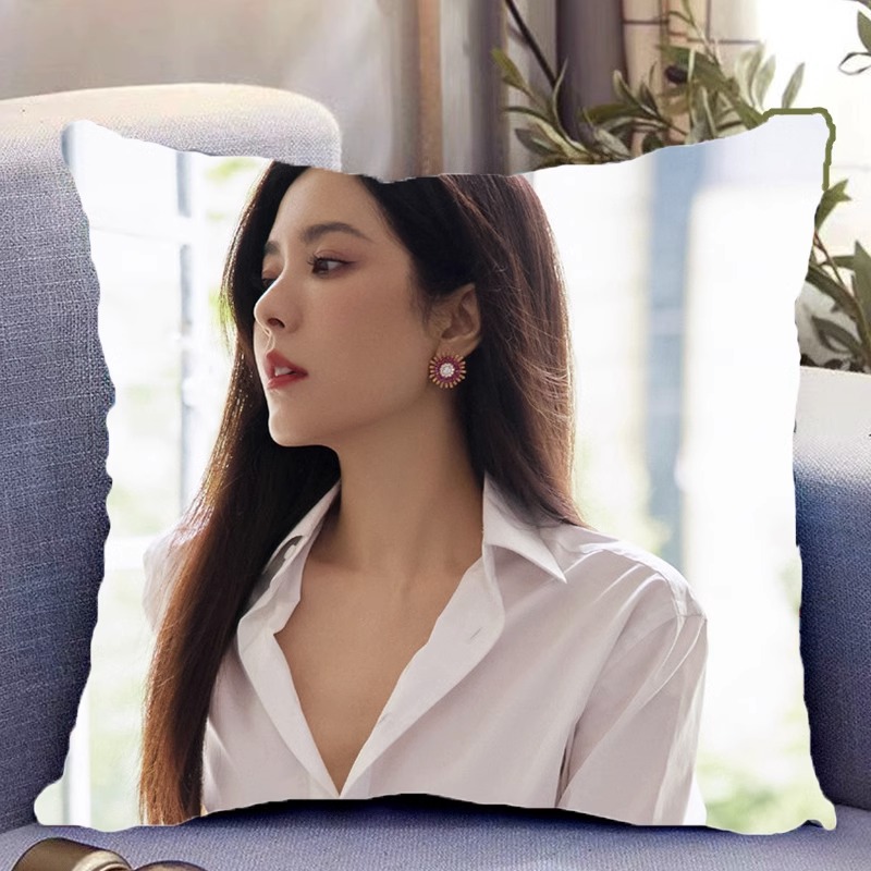 Pre - หมอนลาย zengli เจิงหลี 40 cm ซีรี่ย์จีน หมอนอิง