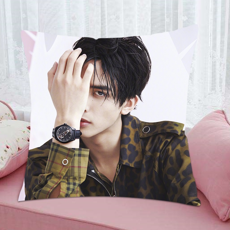 Pre - หมอนลายซ่งเวยหลง SongWeilong 宋威龙 36 cm