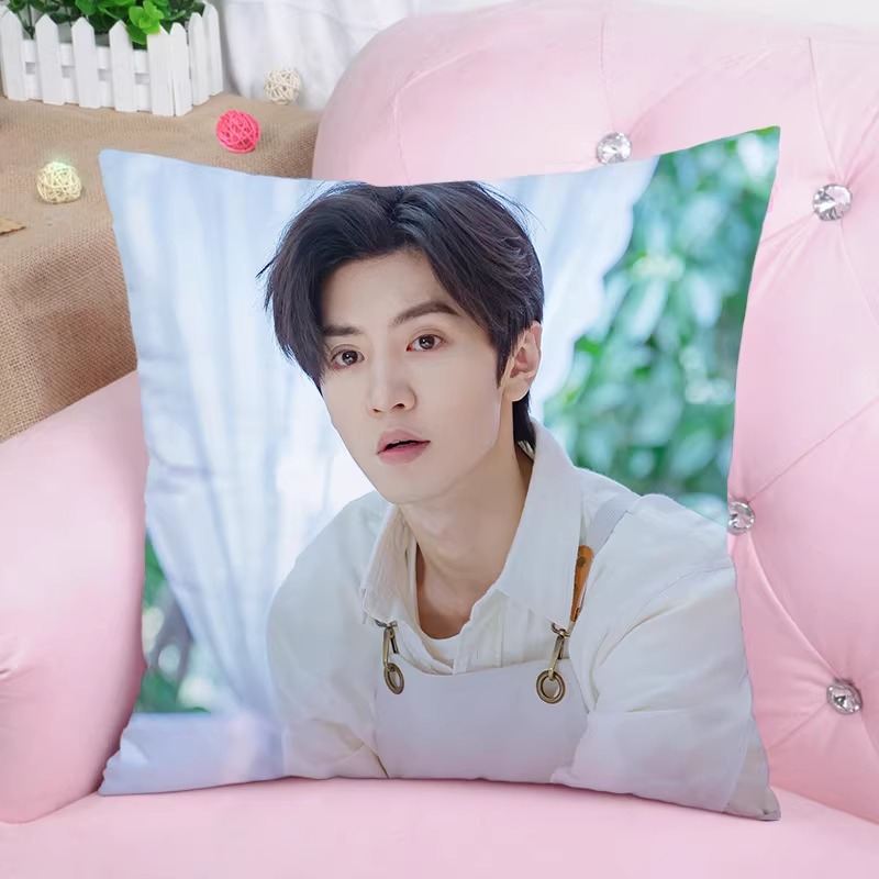 Pre - หมอนลาย ChenZheyuan เฉินเจ๋อหย่วน 33 cm